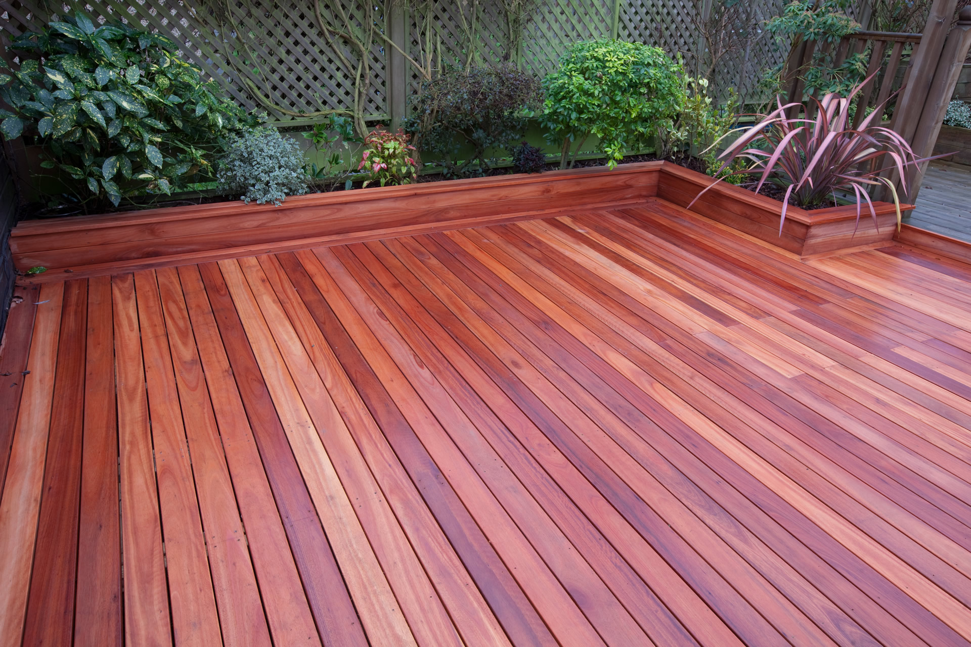 hardwood1